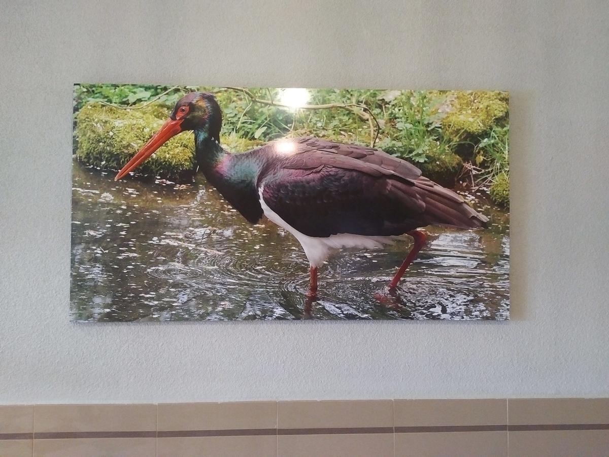 Hotel Peru By Bossh Hotels トルヒーリョ エクステリア 写真